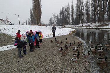 Obrázek č.51
